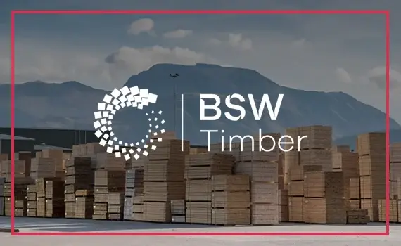 BSW Group logo